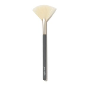 Fan Brush